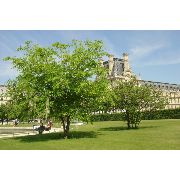 รูปถ่าย ฝรั่งเศส(France) ปารีส(Paris) สวนตุยเลอรี(Garden of Tuileries) 2007-05 278
