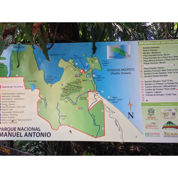 รูปถ่าย คอสตาริกา(Costa Rica) มานวยล์อันโตนีโอ(Manuel Antonio) 2015-03 353