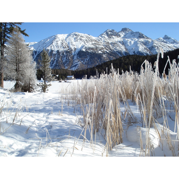 รูปถ่าย สวิสเซอร์แลนด์(Switzerland) เซนต์มอริตซ์ ชลาริญญา(St Moritz Schlarigna) 2007-01 83
