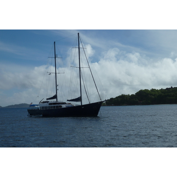 รูปถ่าย เซเชลส์(Seychelles) ซีสตาร์(Sea Star) 2011-10 56