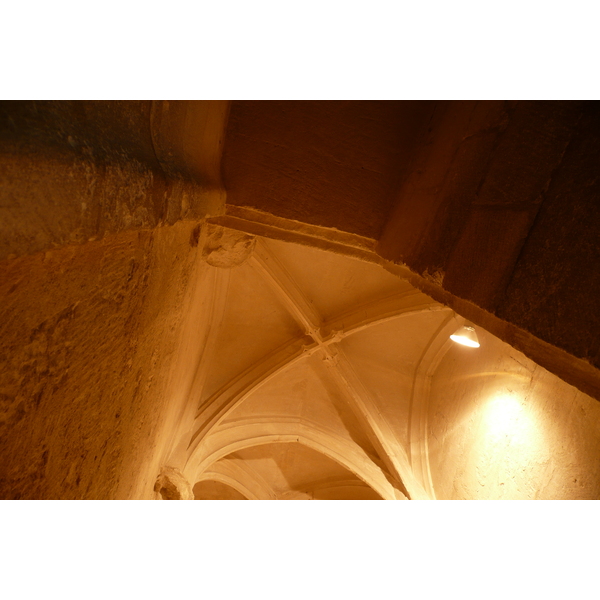 รูปถ่าย ฝรั่งเศส(France) ตาราสกง(Tarascon) ปราสาทตาราสกง(Tarascon Castle) 2008-04 69