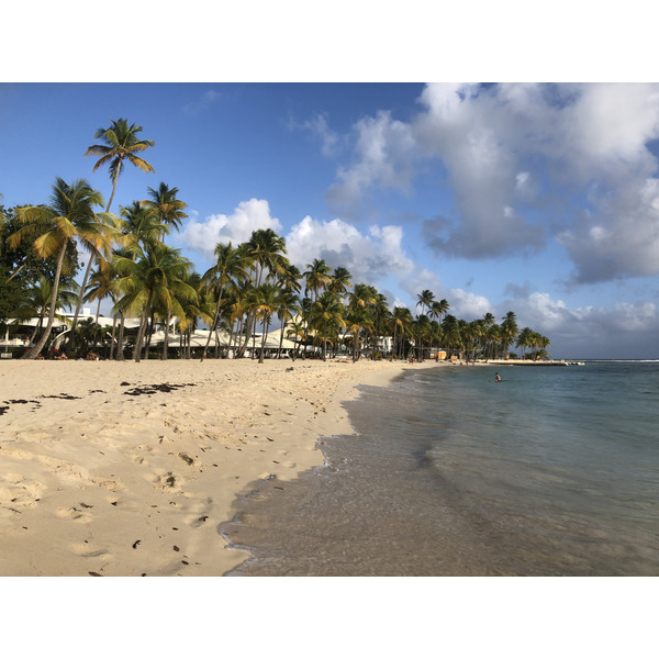 รูปถ่าย กวาเดอลูป(Guadeloupe) หาดลาการาแวล(La Caravelle Beach) 2021-02 130