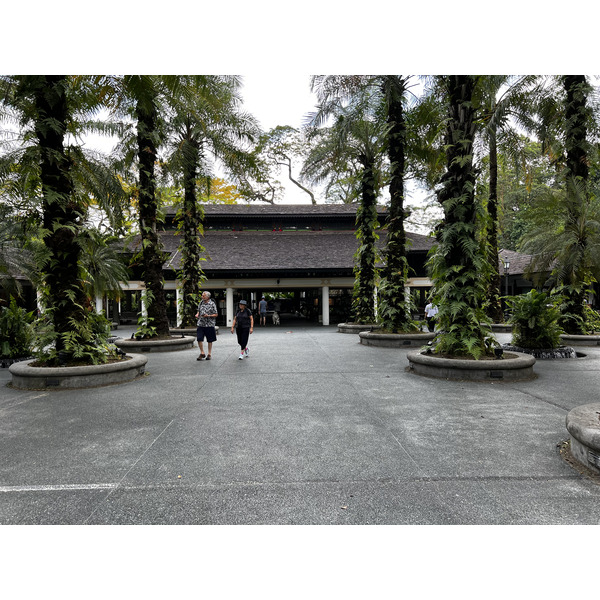 รูปถ่าย สิงคโปร์(Singapore) สวนพฤกษศาสตร์สิงคโปร์(Singapore Botanic Gardens) 2023-01 100