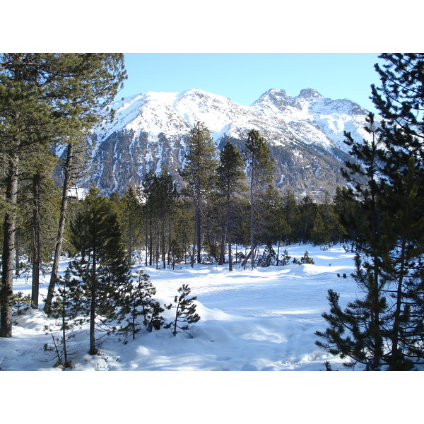 รูปถ่าย สวิสเซอร์แลนด์(Switzerland) เซนต์มอริตซ์ ชลาริญญา(St Moritz Schlarigna) 2007-01 12