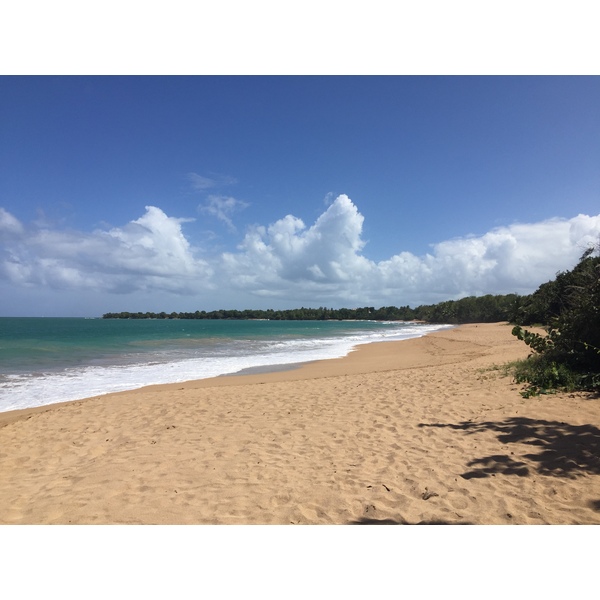 รูปถ่าย กวาเดอลูป(Guadeloupe) เดแอ(Deshaies) 2021-02 3