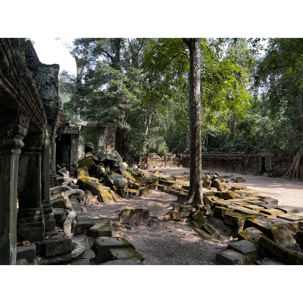 รูปถ่าย กัมพูชา(Cambodia) เสียมราฐ(Siem Reap) ปราสาทตาพรหม(Ta Prohm) 2023-01 149