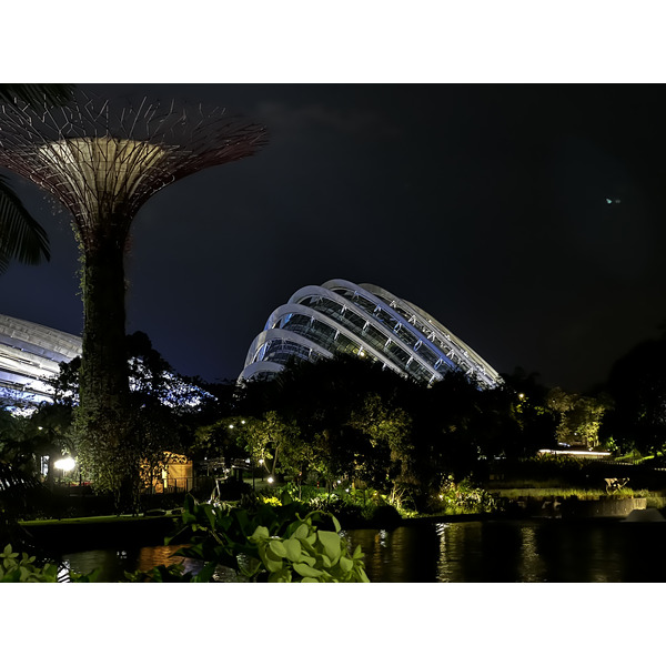 รูปถ่าย สิงคโปร์(Singapore) การ์เดนส์บายเดอะเบย์(Garden by the bay) 2023-01 19