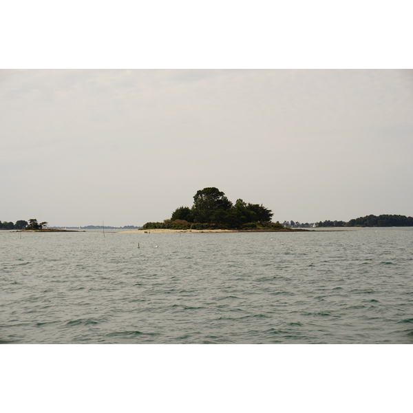 รูปถ่าย ฝรั่งเศส(France) อ่าวมอร์บีอ็อง(Golfe du Morbihan) 2016-08 64