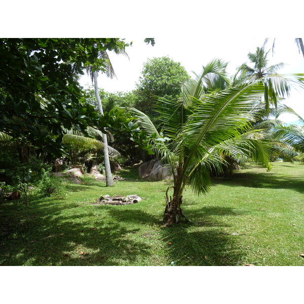 รูปถ่าย เซเชลส์(Seychelles) เกาะกร็องด์เซอร์(Grande Soeur) 2011-10 87