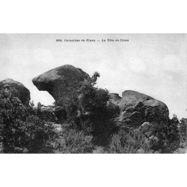 รูปถ่าย ฝรั่งเศส(France) คอร์สิคา(Corsica) โปสการ์ดเก่า(Old Postcards) 1900-01 187