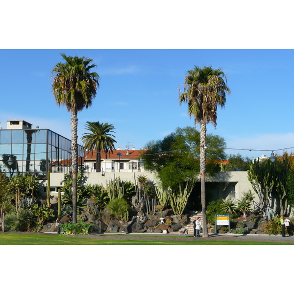 รูปถ่าย ฝรั่งเศส(France) นีส(Nice) สวนฟีนิกซ์(Phoenix Parc) 2007-10 51