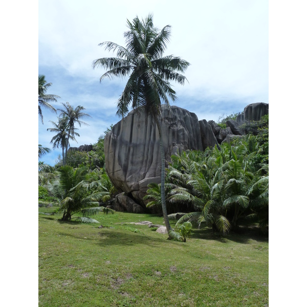 รูปถ่าย เซเชลส์(Seychelles) เกาะกร็องด์เซอร์(Grande Soeur) 2011-10 113