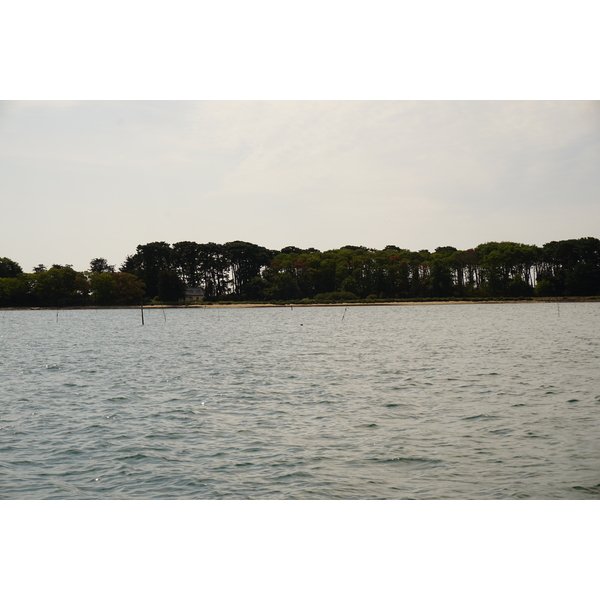 รูปถ่าย ฝรั่งเศส(France) อ่าวมอร์บีอ็อง(Golfe du Morbihan) 2016-08 71