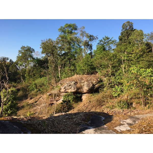 รูปถ่าย ไทย(Thailand) อุทยานแห่งชาติภูหินร่องกล้า(Phu Hin Rong Kla National Park) 2014-12 286