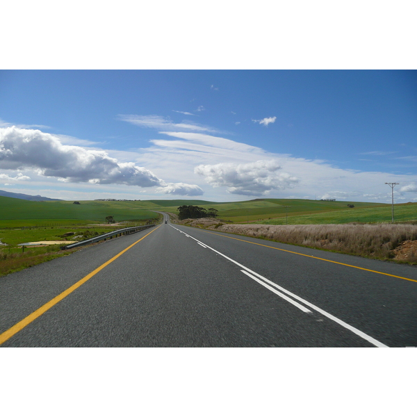 รูปถ่าย แอฟริกาใต้(South Africa) ถนนจากเฮอร์มานัสไปไนส์นา(Harmanus to Knysna road) 2008-09 52