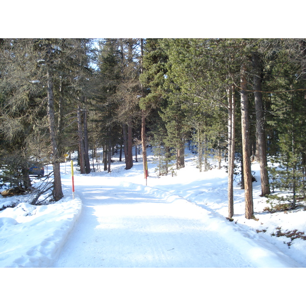 รูปถ่าย สวิสเซอร์แลนด์(Switzerland) เซนต์มอริตซ์ ชลาริญญา(St Moritz Schlarigna) 2007-01 87
