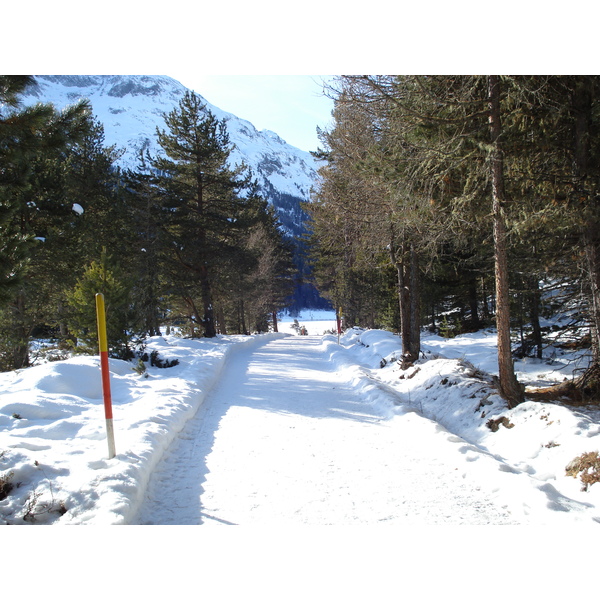 รูปถ่าย สวิสเซอร์แลนด์(Switzerland) เซนต์มอริตซ์ ชลาริญญา(St Moritz Schlarigna) 2007-01 98