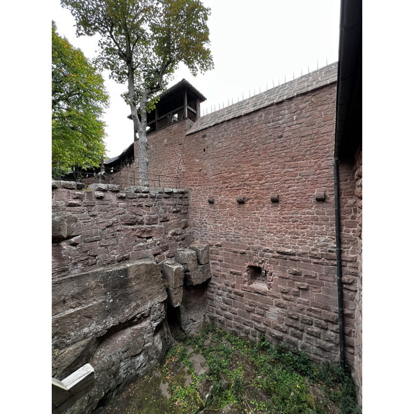 รูปถ่าย ฝรั่งเศส(France) ปราสาทโอ-เคอนิกส์บูร์ก(Koenigsbourg Castle) 2023-10 129