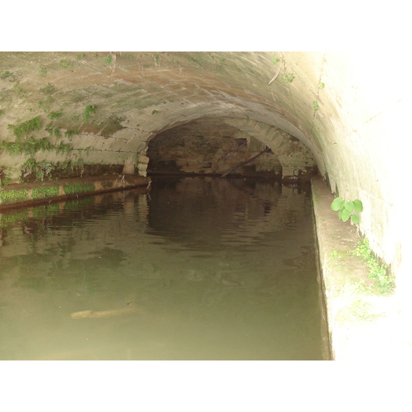 รูปถ่าย ฝรั่งเศส(France) โซเมียร์(Sommieres) 2006-06 77