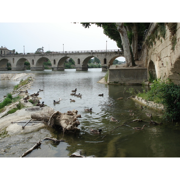 รูปถ่าย ฝรั่งเศส(France) โซเมียร์(Sommieres) 2006-06 83