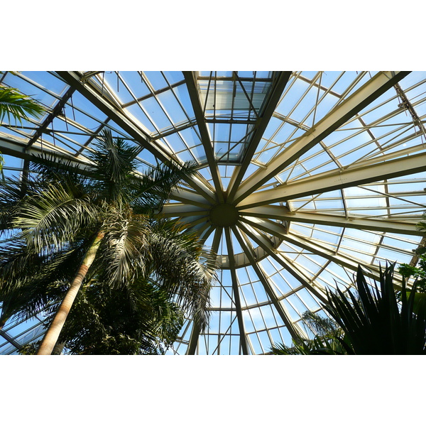 รูปถ่าย ฝรั่งเศส(France) นีส(Nice) สวนฟีนิกซ์(Phoenix Parc) 2007-10 35