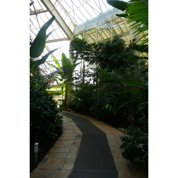 รูปถ่าย ฝรั่งเศส(France) นีส(Nice) สวนฟีนิกซ์(Phoenix Parc) 2007-10 62