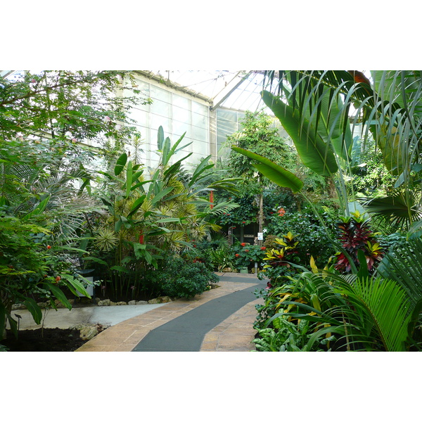 รูปถ่าย ฝรั่งเศส(France) นีส(Nice) สวนฟีนิกซ์(Phoenix Parc) 2007-10 54