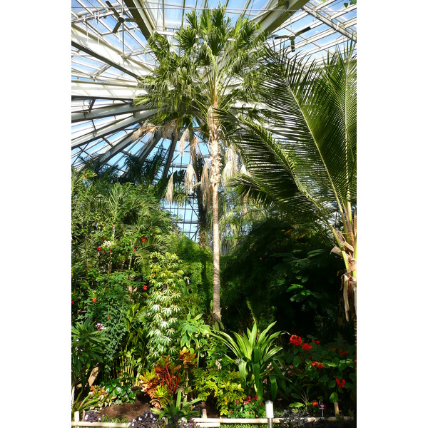 รูปถ่าย ฝรั่งเศส(France) นีส(Nice) สวนฟีนิกซ์(Phoenix Parc) 2007-10 71