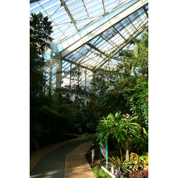 รูปถ่าย ฝรั่งเศส(France) นีส(Nice) สวนฟีนิกซ์(Phoenix Parc) 2007-10 86