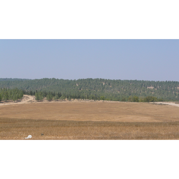 รูปถ่าย อิสราเอล(Israel) ถนนจากอัชเคลอนไปอาราด(Ashkelon to Arad road) 2007-06 83