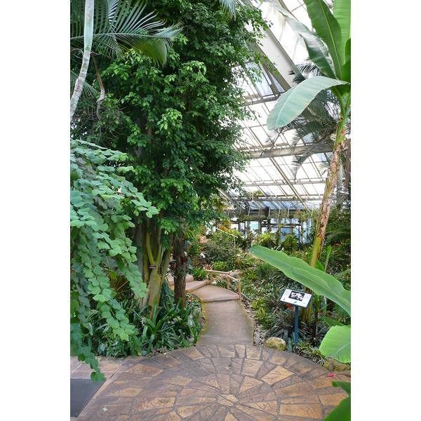 รูปถ่าย ฝรั่งเศส(France) นีส(Nice) สวนฟีนิกซ์(Phoenix Parc) 2007-10 81