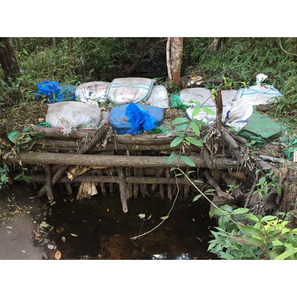 รูปถ่าย ไทย(Thailand) อุทยานแห่งชาติภูหินร่องกล้า(Phu Hin Rong Kla National Park) 2014-12 419