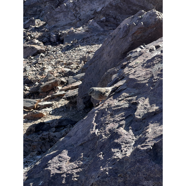รูปถ่าย ฝรั่งเศส(France) คอร์สิคา(Corsica) ภูเขามอนเตชินโต(Monte Cinto) 2023-10 27