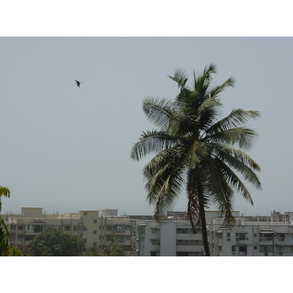 รูปถ่าย อินเดีย(India) มัมไบ(Mumbai) 2003-05 59