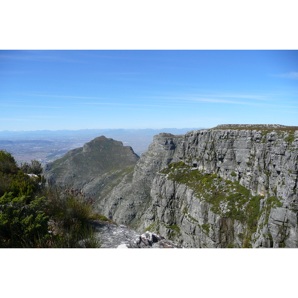 รูปถ่าย แอฟริกาใต้(South Africa) เคปทาวน์(Cape Town) ภูเขาเทเบิล(Table Mountain) 2008-09 110