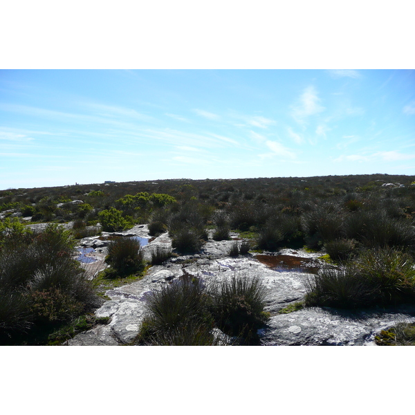 รูปถ่าย แอฟริกาใต้(South Africa) เคปทาวน์(Cape Town) ภูเขาเทเบิล(Table Mountain) 2008-09 118