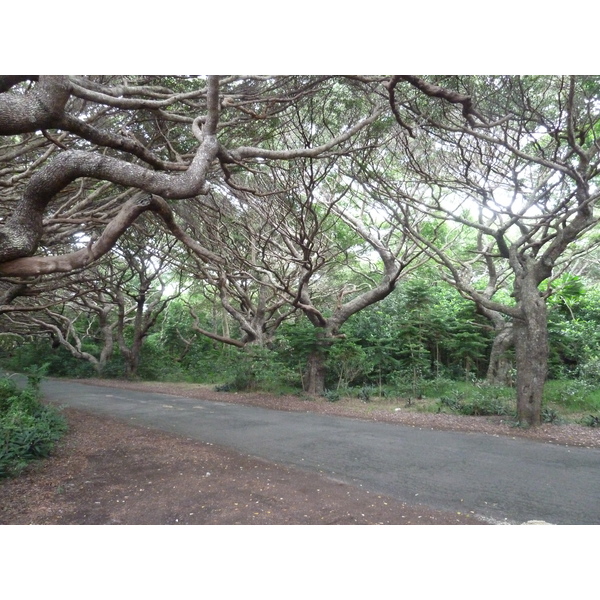 รูปถ่าย นิวแคลิโดเนีย(New Caledonia) เกาะต้นสน(Ile des pins) หาดคูโต(Kuto Beach) 2010-05 2