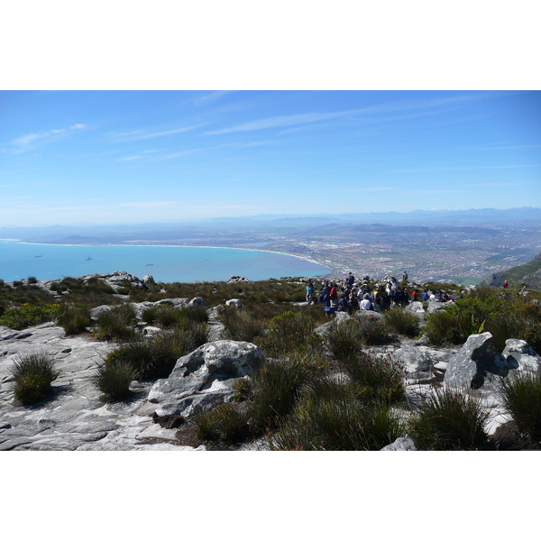 รูปถ่าย แอฟริกาใต้(South Africa) เคปทาวน์(Cape Town) ภูเขาเทเบิล(Table Mountain) 2008-09 3
