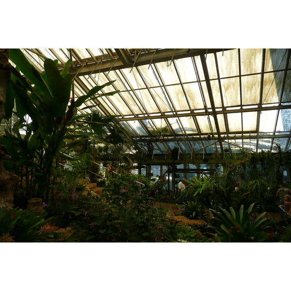 รูปถ่าย ฝรั่งเศส(France) นีส(Nice) สวนฟีนิกซ์(Phoenix Parc) 2007-10 15