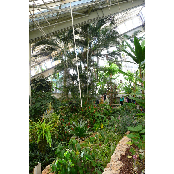 รูปถ่าย ฝรั่งเศส(France) นีส(Nice) สวนฟีนิกซ์(Phoenix Parc) 2007-10 10