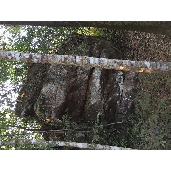 รูปถ่าย ไทย(Thailand) อุทยานแห่งชาติภูหินร่องกล้า(Phu Hin Rong Kla National Park) 2014-12 417