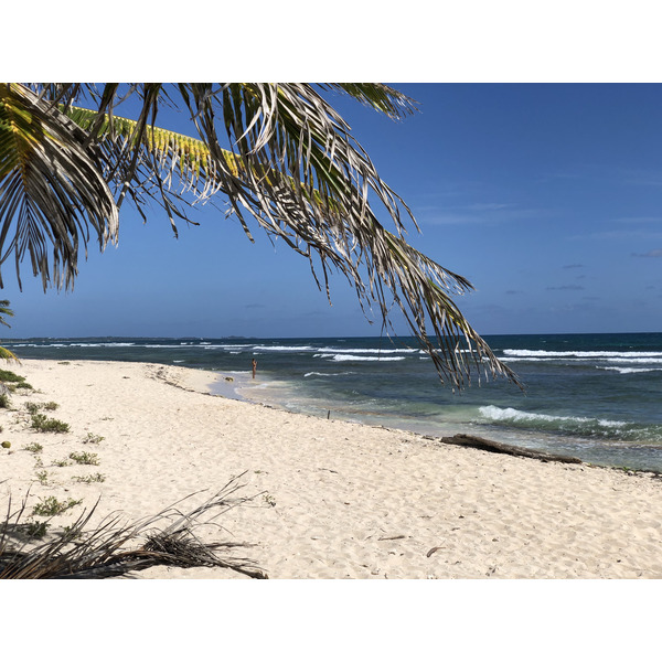 รูปถ่าย กวาเดอลูป(Guadeloupe) แซ็งฟร็องซัว(Saint Francois) 2021-02 51