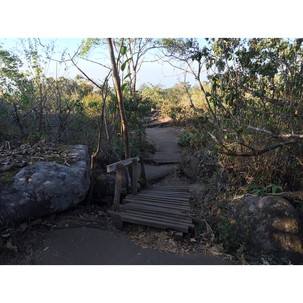 รูปถ่าย ไทย(Thailand) อุทยานแห่งชาติภูหินร่องกล้า(Phu Hin Rong Kla National Park) 2014-12 309