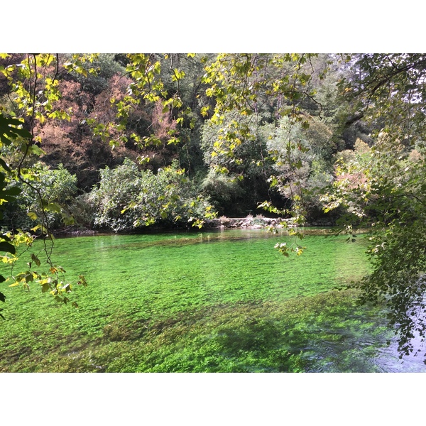 รูปถ่าย ฝรั่งเศส(France) ฟงแตน-เดอ-โวกลูซ(Fontaine-de-Vaucluse) 2017-08 38