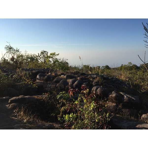 รูปถ่าย ไทย(Thailand) อุทยานแห่งชาติภูหินร่องกล้า(Phu Hin Rong Kla National Park) 2014-12 97