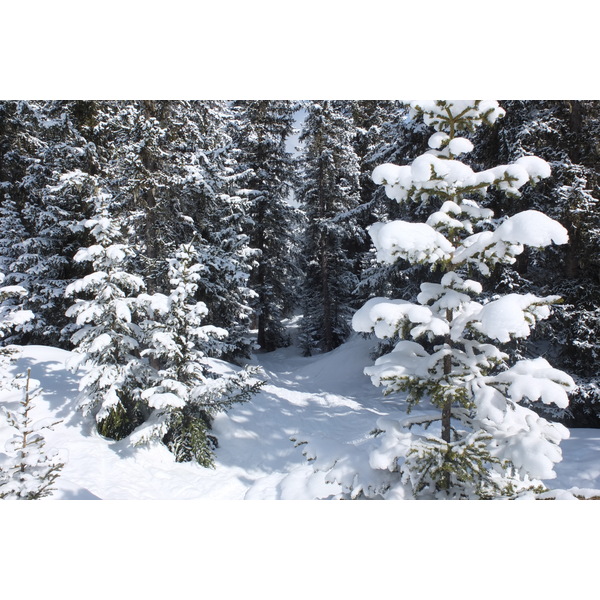 รูปถ่าย ฝรั่งเศส(France) เลทรัววาเล(Les 3 Vallees) 2013-03 234