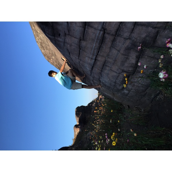 รูปถ่าย ไทย(Thailand) อุทยานแห่งชาติภูหินร่องกล้า(Phu Hin Rong Kla National Park) 2014-12 359