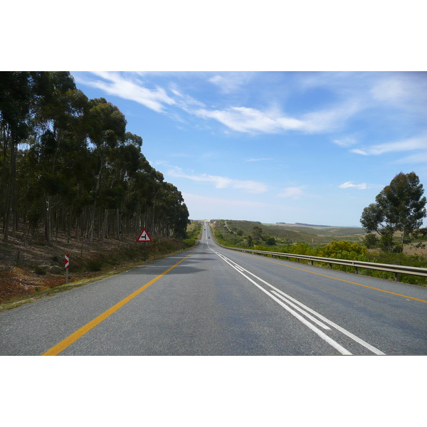 รูปถ่าย แอฟริกาใต้(South Africa) ถนนจากเฮอร์มานัสไปไนส์นา(Harmanus to Knysna road) 2008-09 85
