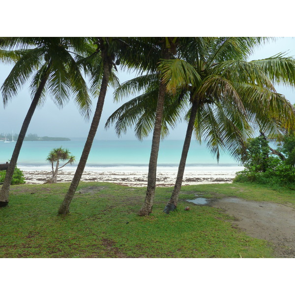 รูปถ่าย นิวแคลิโดเนีย(New Caledonia) 2010-05 49