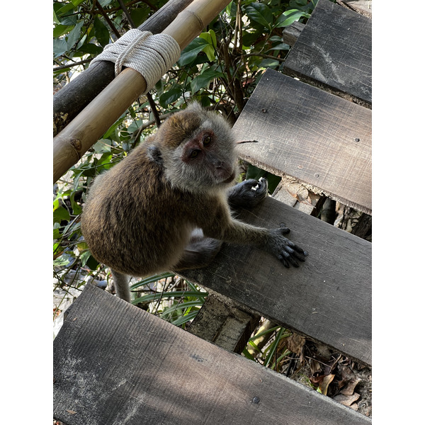 รูปถ่าย ไทย(Thailand) กระบี่(Krabi) 2023-01 110